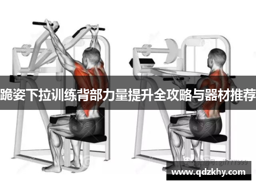 跪姿下拉训练背部力量提升全攻略与器材推荐